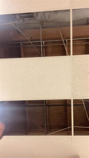 He knows what kind of resuscitation? | Alex Delgado