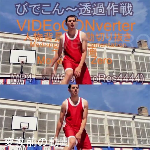 動画の背景を完全オフラインで消去して透過WebM/ProRes4444保存するアプリ「びでこん」変換サンプル