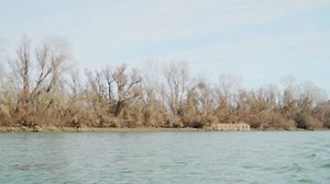 The Ti Pro rods are the pinnacle of the Fox Rage rod range, bringing together high-end design, attractive styling and quality components to deliver a sublime lure fishing experience 🔥🎣 Covering the full spectrum of lure fishing options in spinning format, these rods offer options to cover finesse to heavy lure fishing, and everything in between. ℹ️👇🏼 http://ow.ly/IVZl50GMmNw #foxrage #foxragepredator #lurefishing | Fox Rage