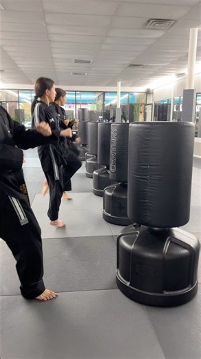 Taekwondo Roundhouse Kicking Practice #taekwondo