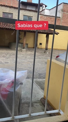 Cómo limpiar los vidrios correctamente: Tips y trucos