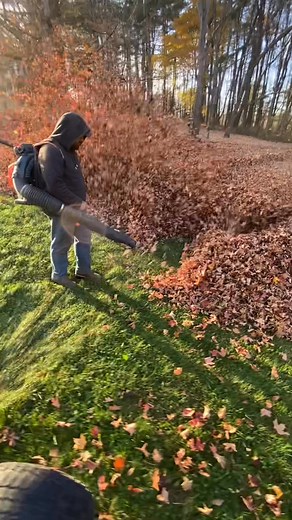 Tired of raking leaves yet? Let our crew handle all of your fall clean up needs. Give us a call to get on the schedule zeph Davis-(518)902-8322 | Davis Family Enterprises
