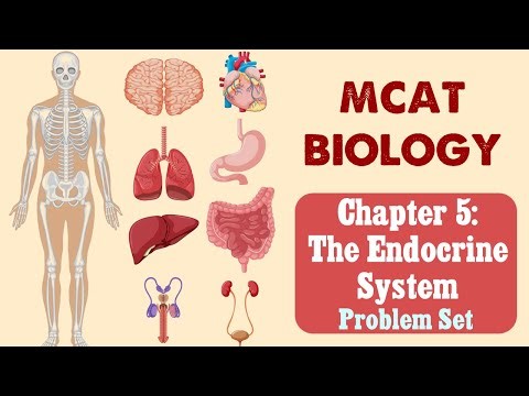 MCAT Biology: Chapter 5 - The Endocrine System Problem Set