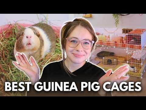 Best Guinea Pig Cages 2025: Sizes, Materials, and Setup Tips