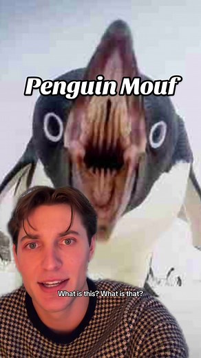 Understanding Penguin Behavior: Insights and Lessons