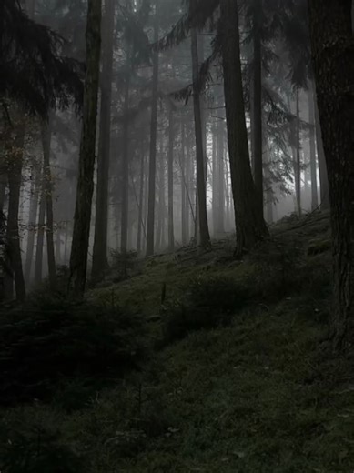 Going on your first proxy mission is either the best thing ever or the worst thing ever. Made by second owner 🖤♠️🃏 #roleplay #creepypasta #slenderman #proxy