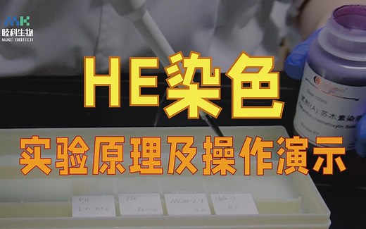 睦科云课堂| HE染色实验操作细节演示