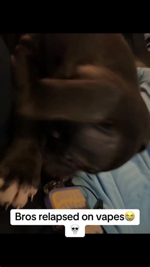 L’s in the chat everybody🥴#nala #fyp #viral #trending #foryoupage