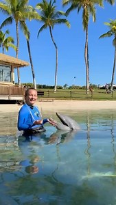 1.2K reactions · 55 shares | Did you know dolphins don’t have a gag...