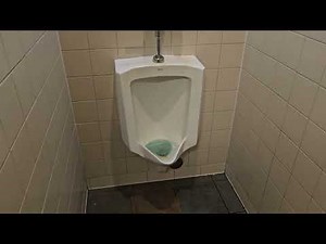 Panera Bread Men's Restroom with Kohler Fixtures