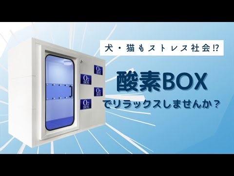 ペットと一緒に入れる酸素BOXのご紹介