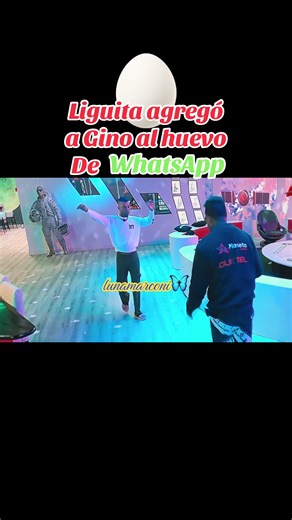 lunamarconi🦋 (@lunamarcon2018)’s video of gino