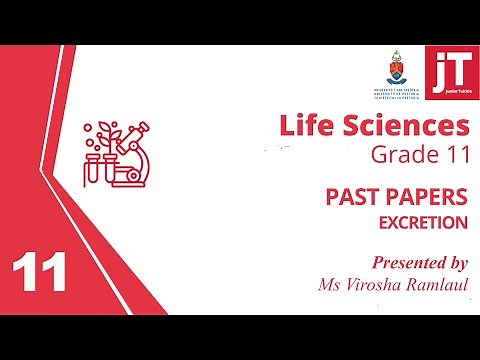 4 Gr 11 Life Sciences - Excretion - Past Papers