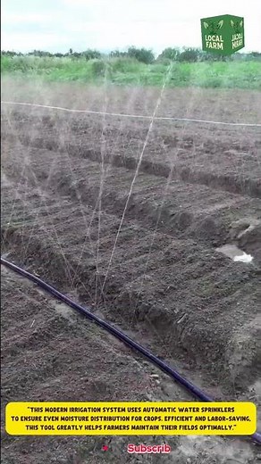 This modern irrigation system uses automatic water sprinklers to ensure even moisture distribution