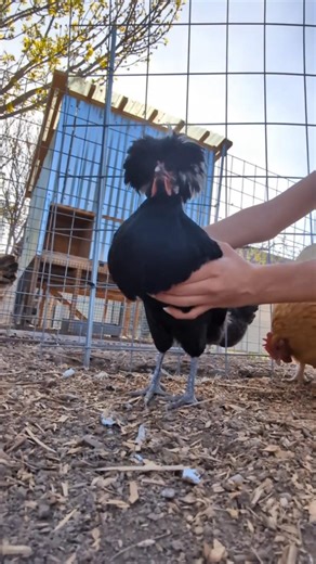 sorry for not keeping up on posting 🥲