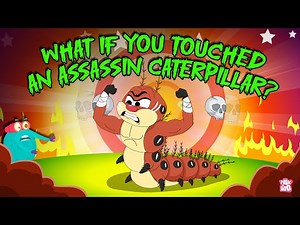 Don't Touch It 🐛 What Happens if You Touch an Assassin Caterpillar? | Poisonous Caterpillars
