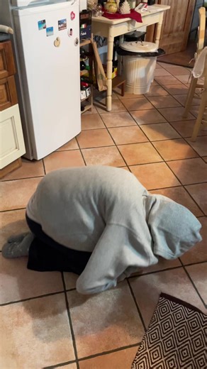 #fyp #viral #cookies