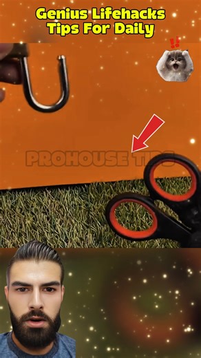every day lifehacks cotidian life #LifeHacks #CreativeIdeas #DIYTips #SmartSolutions | ProHouse Tips By Saidvc