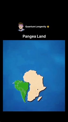 Quantum Longevity on Instagram: "🚨 Pangea was a huge continent shaped like a "C". Most of its land was stretched between the Earth's North and South poles. The inside curve on its eastern side held a large bay called the Tethys Sea. The Paleo-Tethys (Old Tethys) Ocean first formed when Pangea was coming together. This ocean was slowly replaced by the Neo-Tethys (New Tethys) Ocean. This happened because a strip of land, called the Cimmerian continent, broke off from the northern part of Gondwana