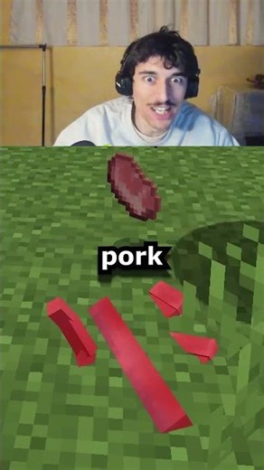 What if Hytale Features were in Minecraft