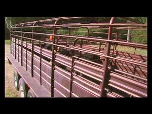 Trailer Types and Designs - Transporting Cattle (BQA)