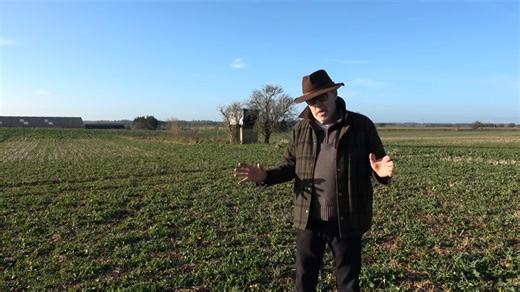 How to protect farm crops from pigeons and pests