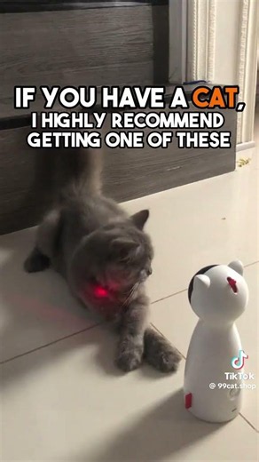 Automatic cat Laser toy. link in pinned comment