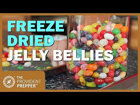 Food Storage: Freeze-Dried Jelly Bellies - FAIL!