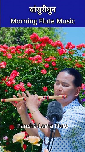 Morning Flute Music | Bansuridhun | Bird Sound With Nature | Instrumental #flute #flutemusic #shorts