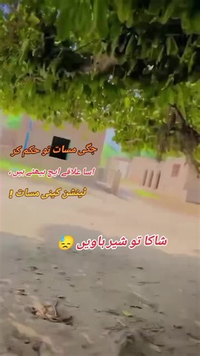 Exploring Local Melodies of Bhata Sahib