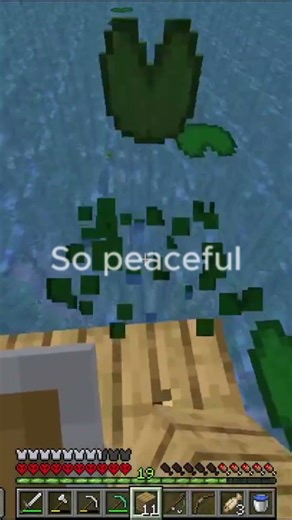 so peaceful... #minecraft #building #gaming #mazerunner