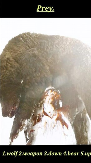 Prey (2022) | Invisible Predator vs Nature’s Apex Beasts — When Hunters Become Hunted