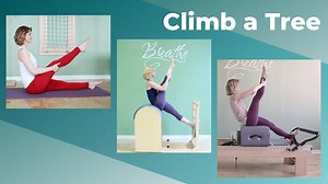 Climb a Tree: Tutorials for Reformer, Ladder Barrel and Mat