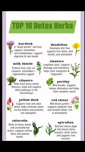 #herbalmedicine #herbalremedies #wellness #homeremedies #diy #herbs #algae #reels | MKB Wellness