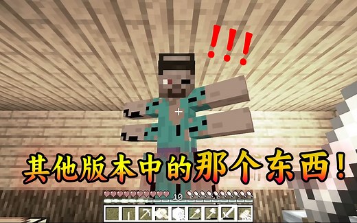我的世界：出现在其他版本的那个东西！