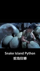 The man smashed all the snake eggs! #蛇岛狂蟒 #SnakeIslandPython #优酷电影 #youkumovie | Youku Movie