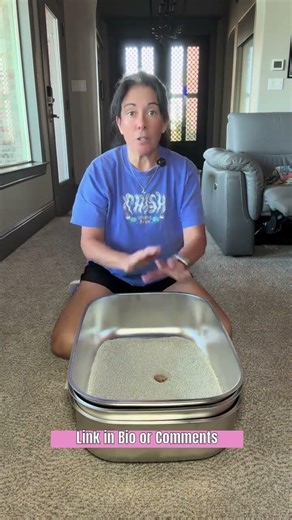 Sifting litter box made with stainless steel