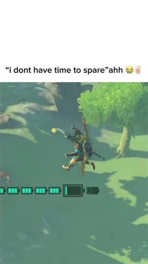 #zelda #totk #funny