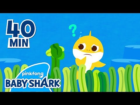 Baby Shark Riddle and more | +Compilation | Homeschooling with Baby Shark