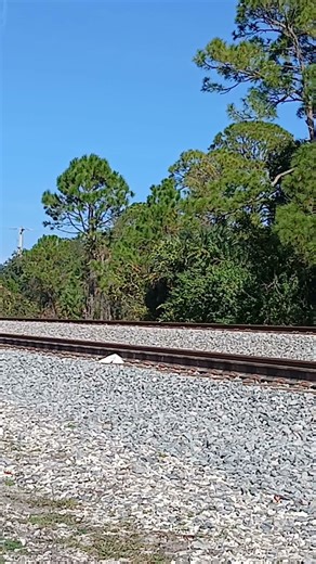 FEC's Christmas Train at Oak Hill