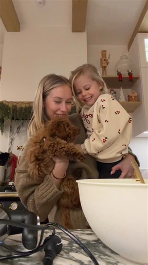 Iga Szcześniewska on Instagram: "lotus biscoff cheesecake 🤎"