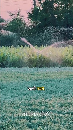 आयुष्यात सगळं काही मनासारखे होतं नाही