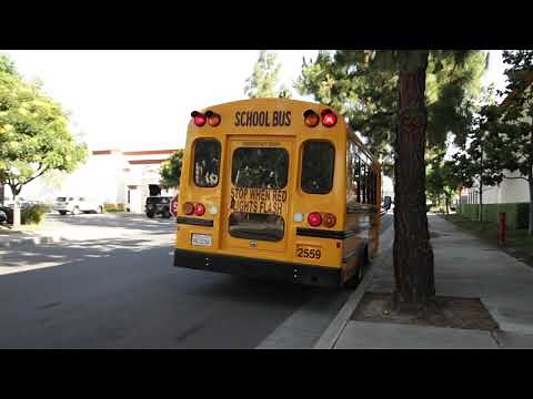 School Bus Stop Sign & Red Lights