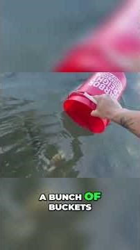 DIY Shrimp Colony Tank: Building a Perfect Burrowing Habitat #shorts