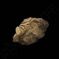 Ruin Fragment | Elden Ring Wiki