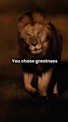 You chase greatness ⚜️🦁/sigma mentality 👑💀#motivation #selfgrowth #realtalk #mindsetmatters #fyp