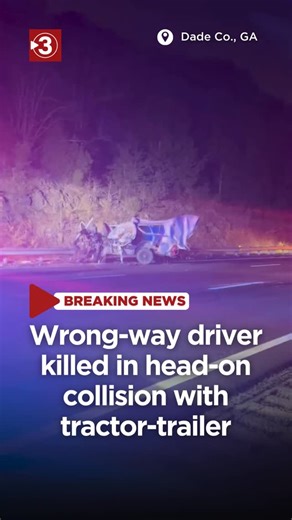 Local 3 News on Instagram: "FATAL CRASH: The driver of a van traveling the wrong way on I-24 Eastbound this morning has died after a head-on collision with a tractor-trailer. The driver of the semi truck is currently in critical condition, says the Dade County Sheriff's Office."