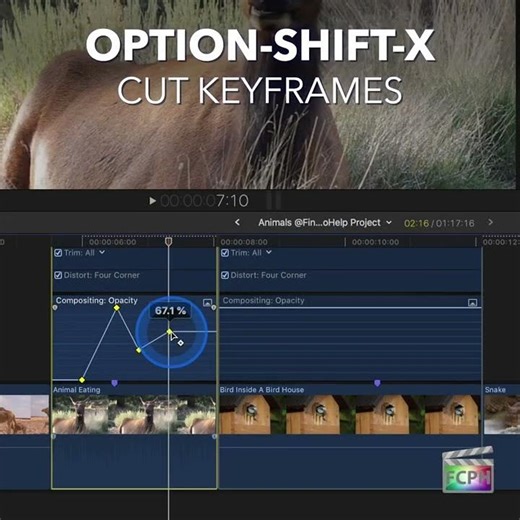 Final Cut Pro Shortcut | Option-Shift-X | Cut Keyframes