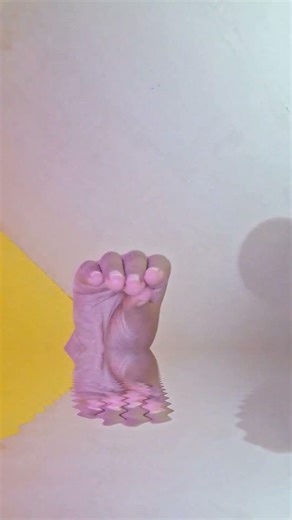 hsjsjsjs #funny #fyp #memes