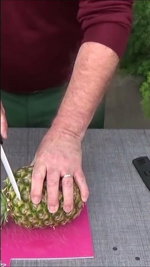 #Shorts: Conseil jardinage comment réussir sa bouture d'ananas Comment faire pousser un ananas